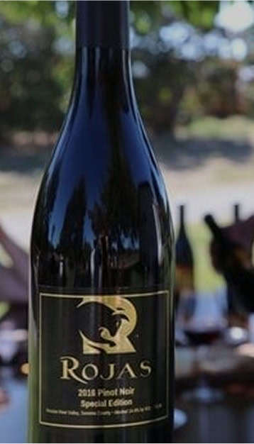 a new vineyard is born 2